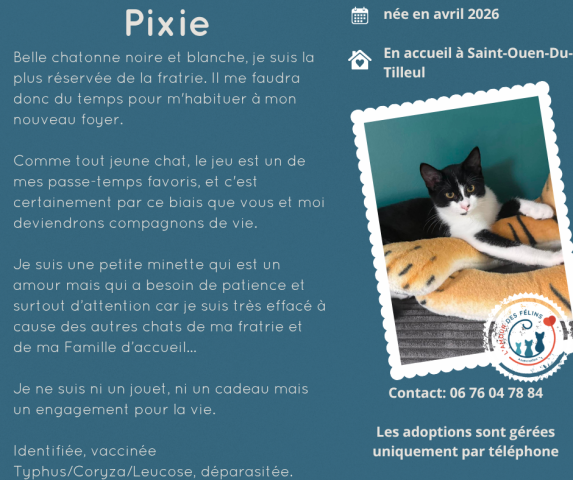 Pixie