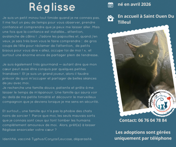 Réglisse